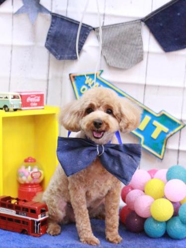 20230423パンくん